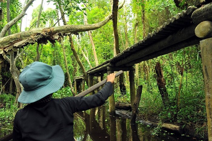 Begin your Dong Thap Tours with a scenic adventure